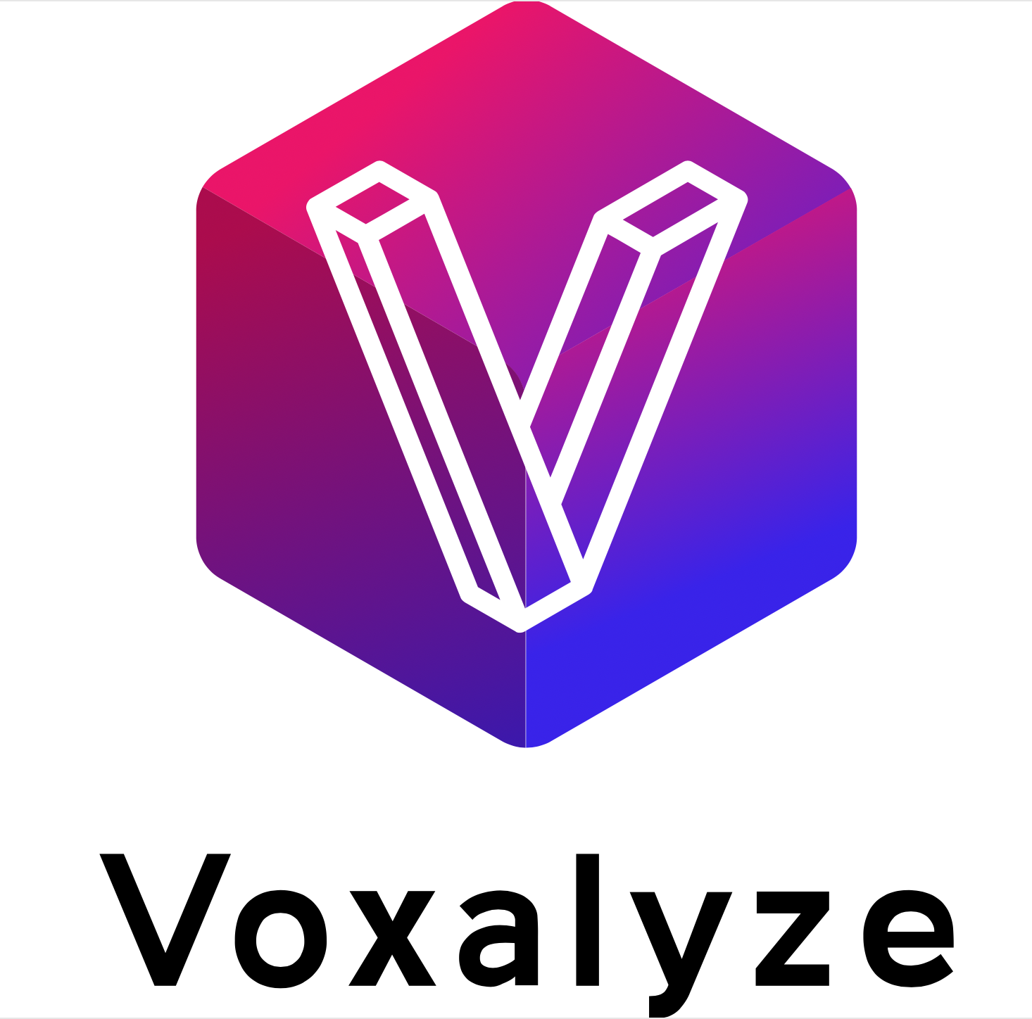 Voxalyze