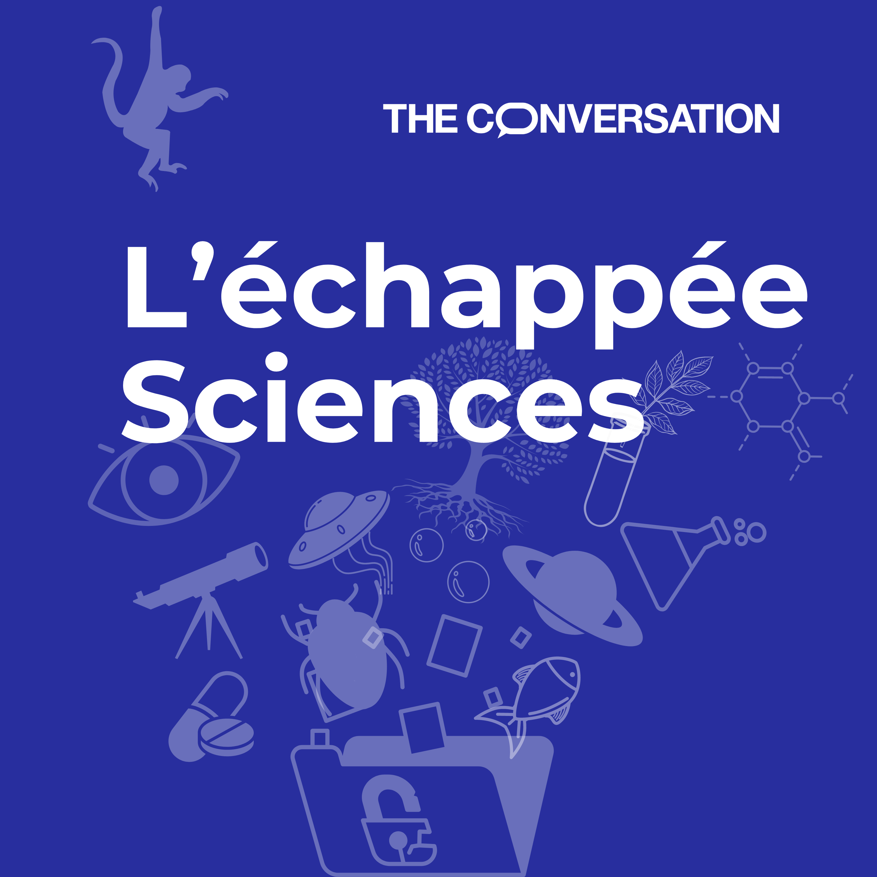 ©The-Conversation-Visuel-lechappee-Sciences-1