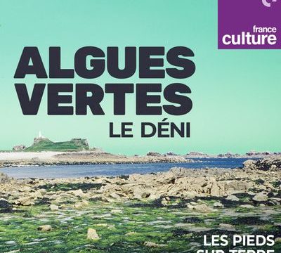 400x400_sc_algues-vertes-le-deni