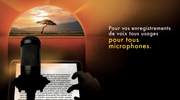 VTrap - Studio mobile insonorisé - Livraison offerte – Image 4