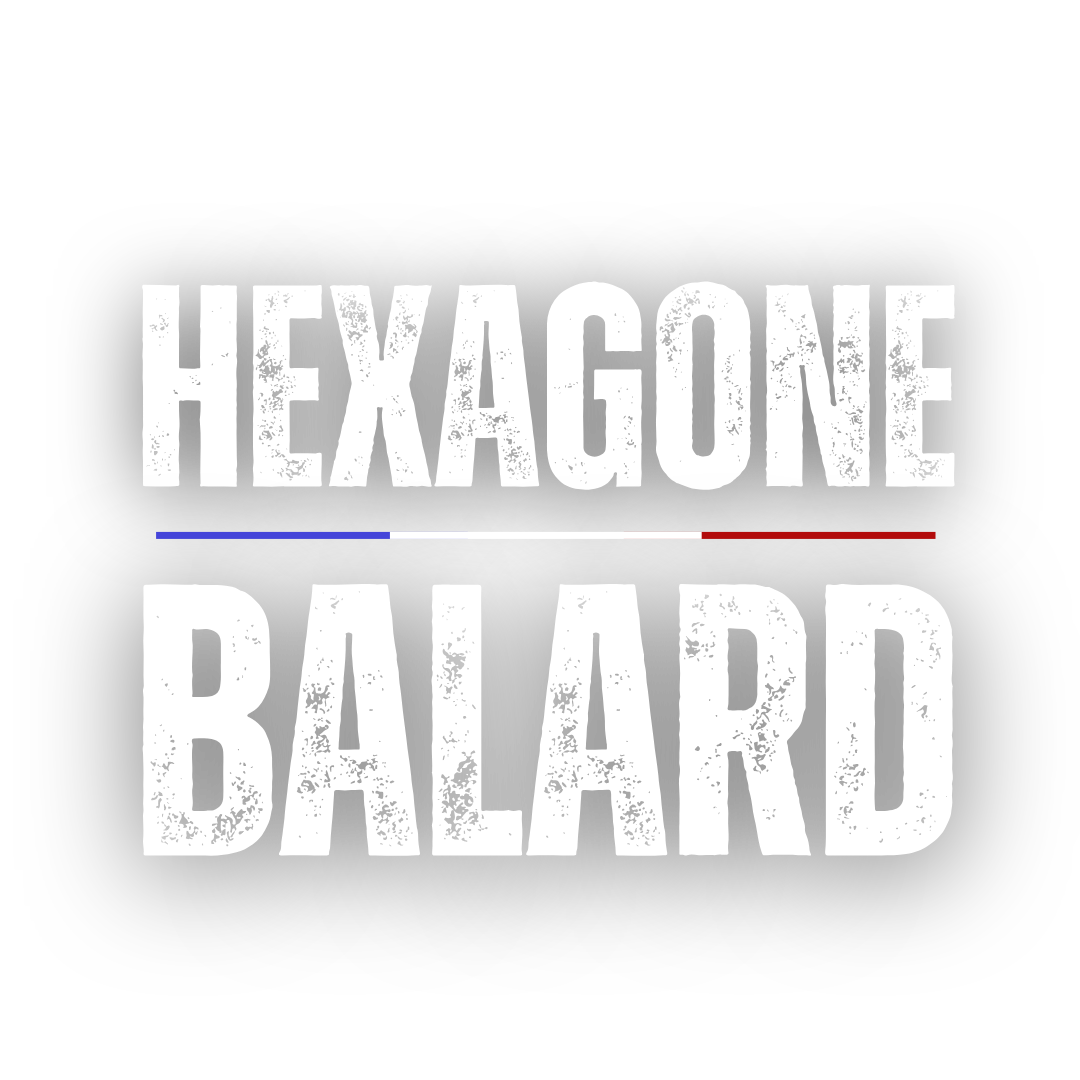 VIGNETTE HEXAGONE BALARD (1080 x 1080 px) (1)