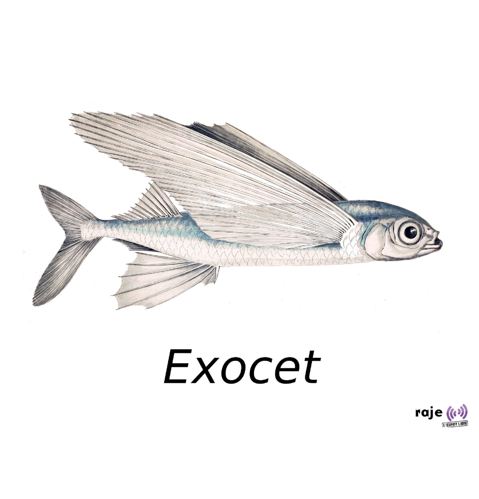 07.20_exocet-960x1000.png