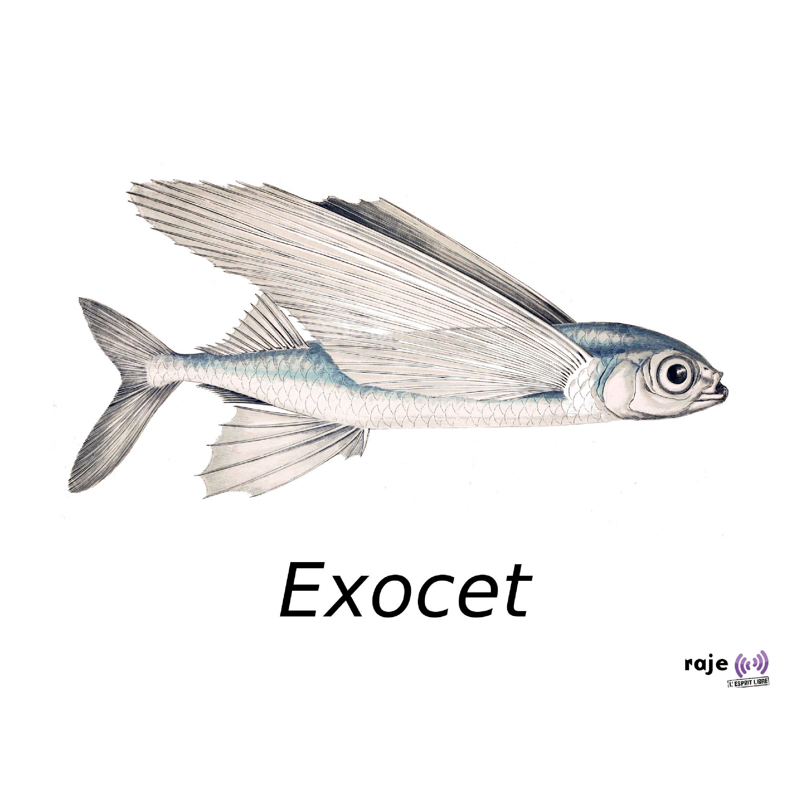 07.20_exocet 07.20_exocet